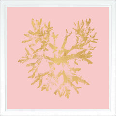 38.75 × 38.75 in – Pink, Gild - Gold