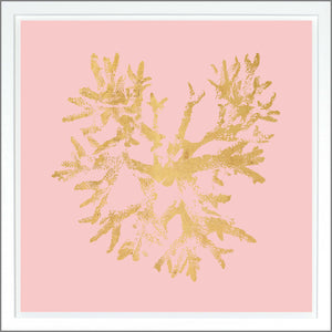 Coral — nature and landscape fine art print shown from another angle
