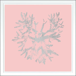 Coral — nature and landscape fine art print shown from another angle