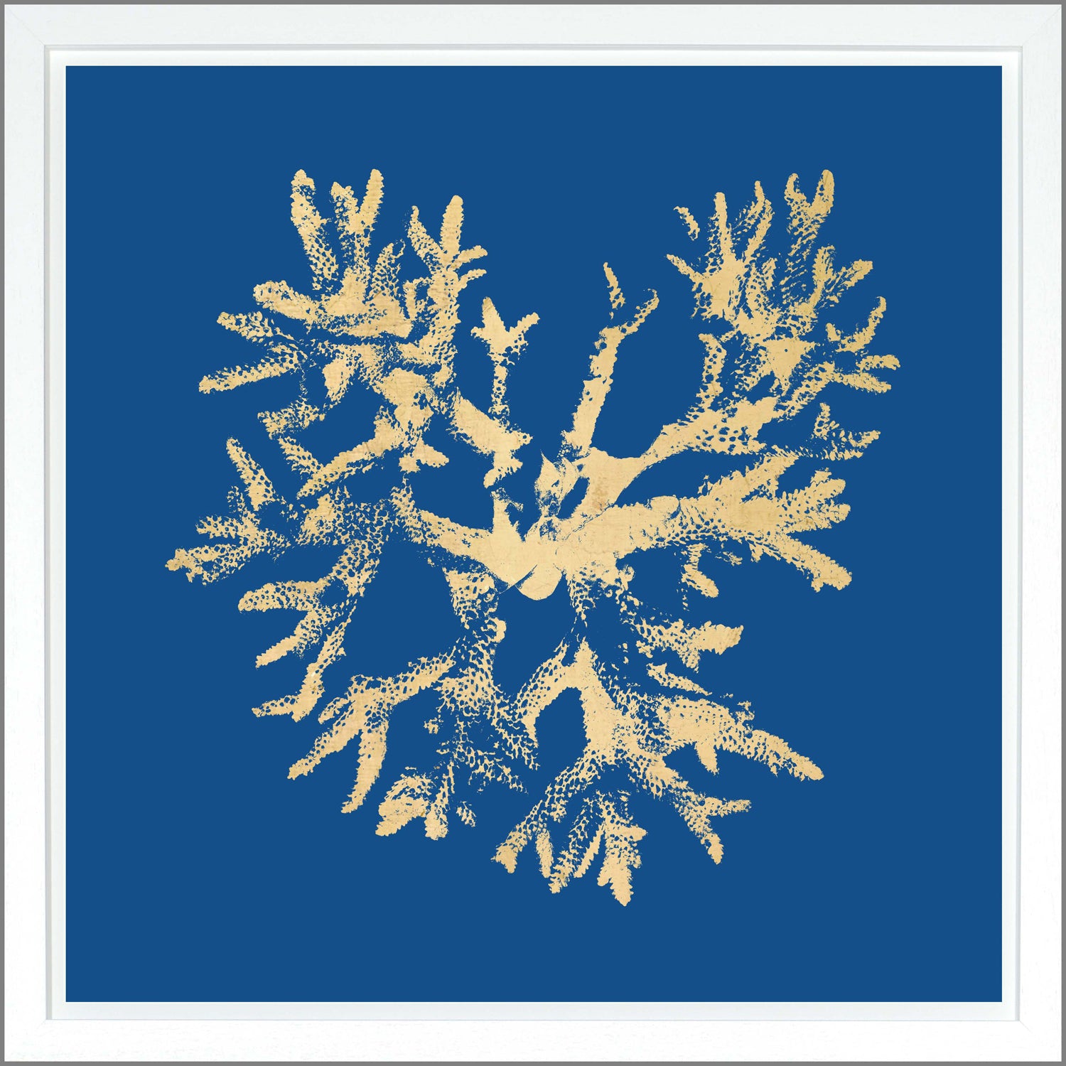 Coral — nature and landscape fine art print shown from another angle