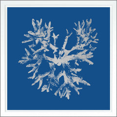 38.75 × 38.75 in – Dark Blue, Gild - Silver