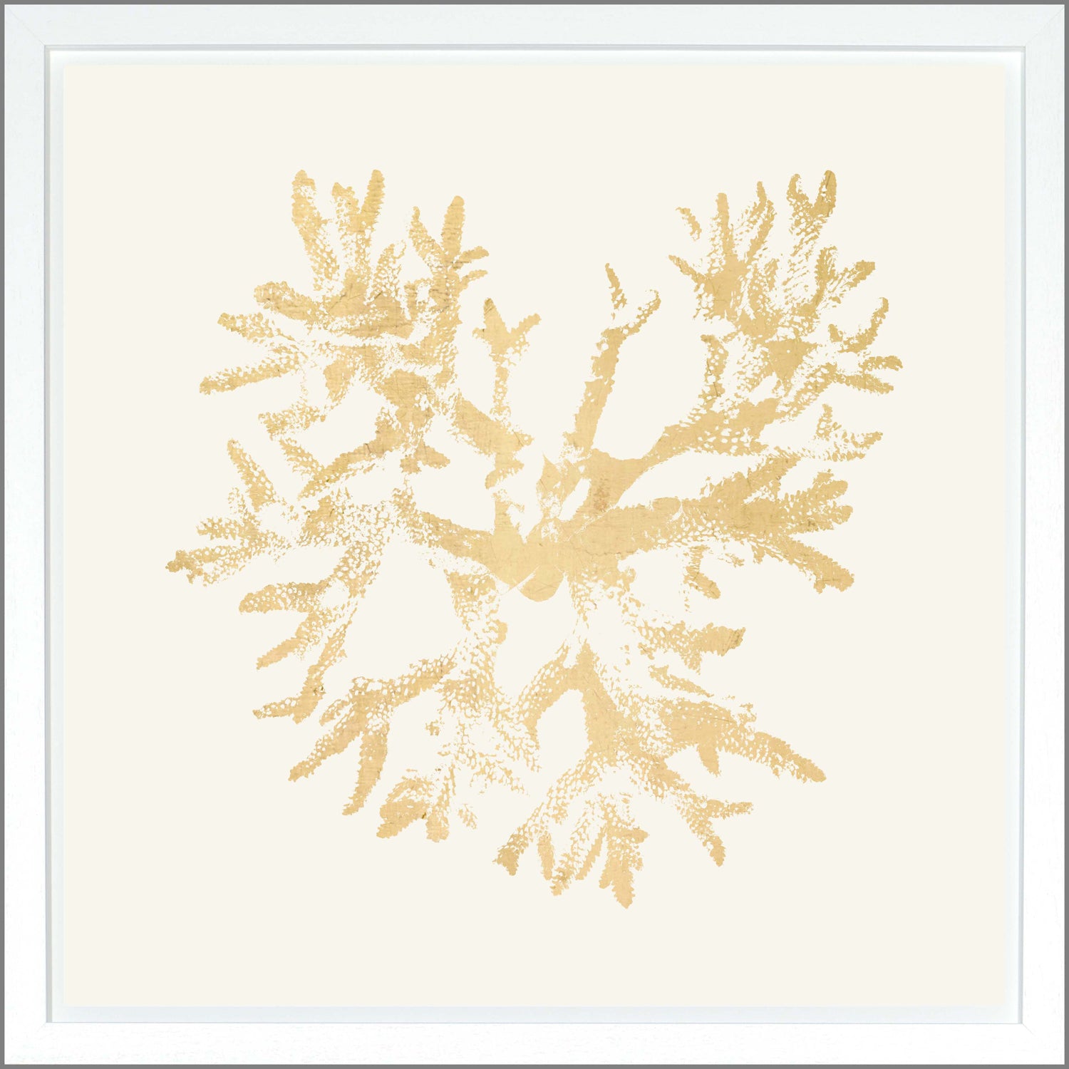 Coral — nature and landscape fine art print shown from another angle