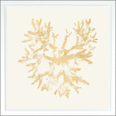 38.75 × 38.75 in – Ivory, Gild - Gold