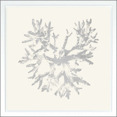 38.75 × 38.75 in – Ivory, Gild - Silver