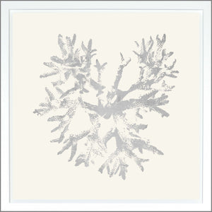Coral — nature and landscape fine art print shown from another angle