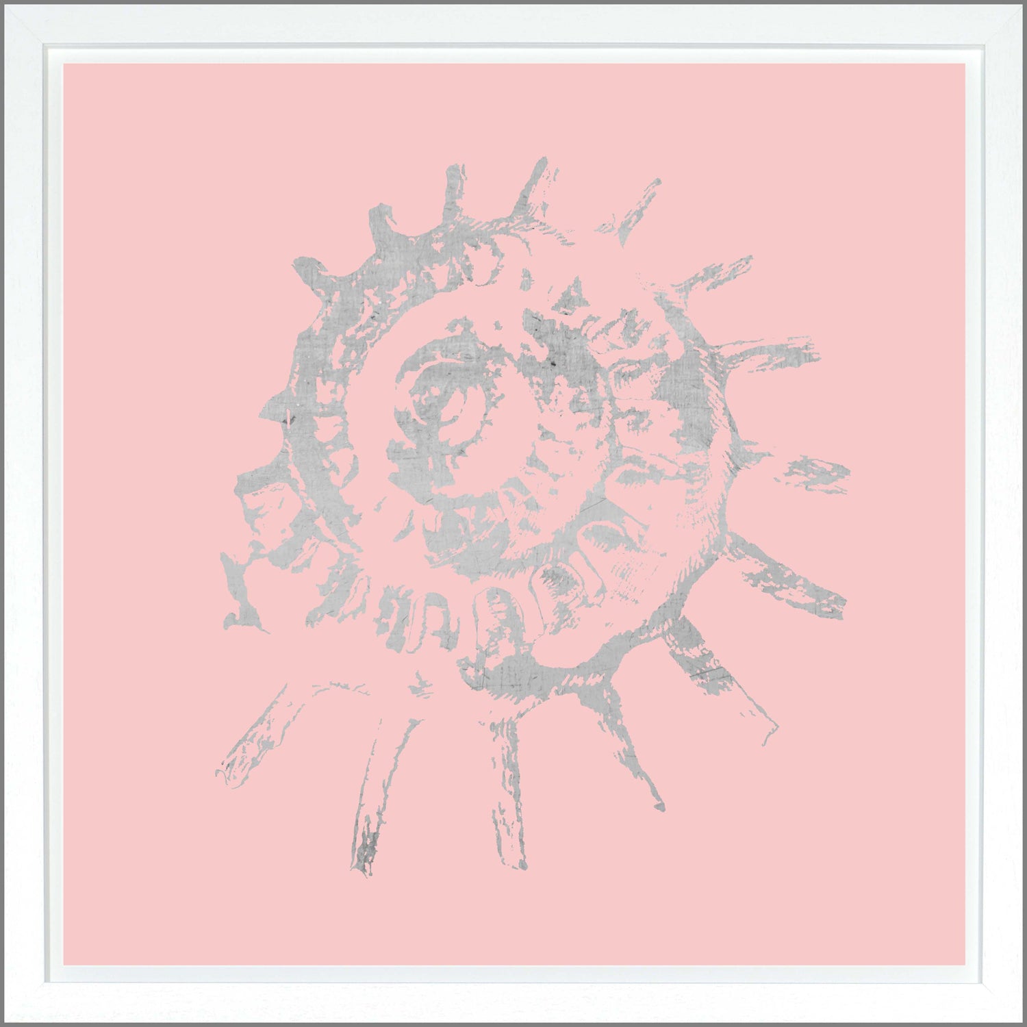 Spiral Shell — nature and landscape fine art print shown from another angle