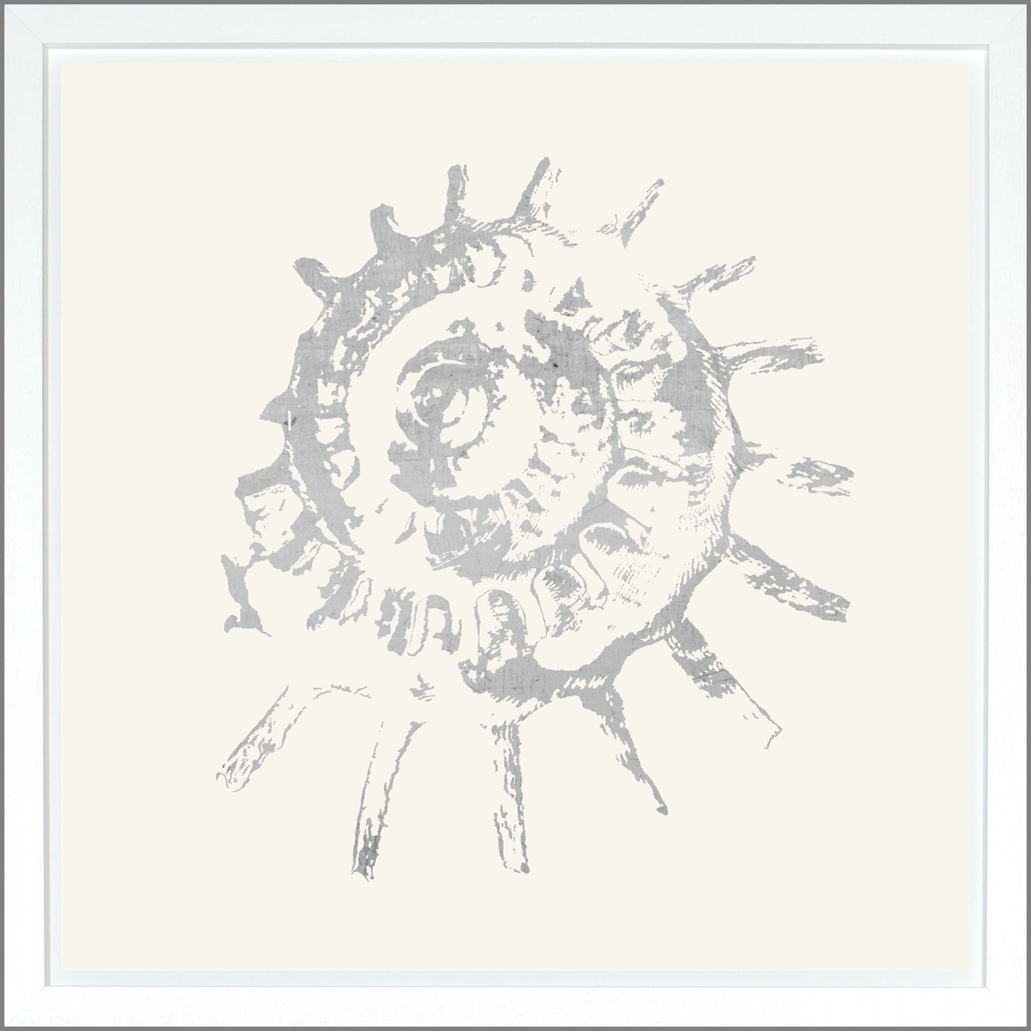 Spiral Shell — nature and landscape fine art print shown from another angle