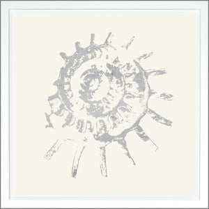 Spiral Shell — nature and landscape fine art print shown from another angle