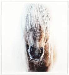 37 × 40 pulg – Marco blanco