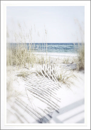Dune Vista Ii framed art print