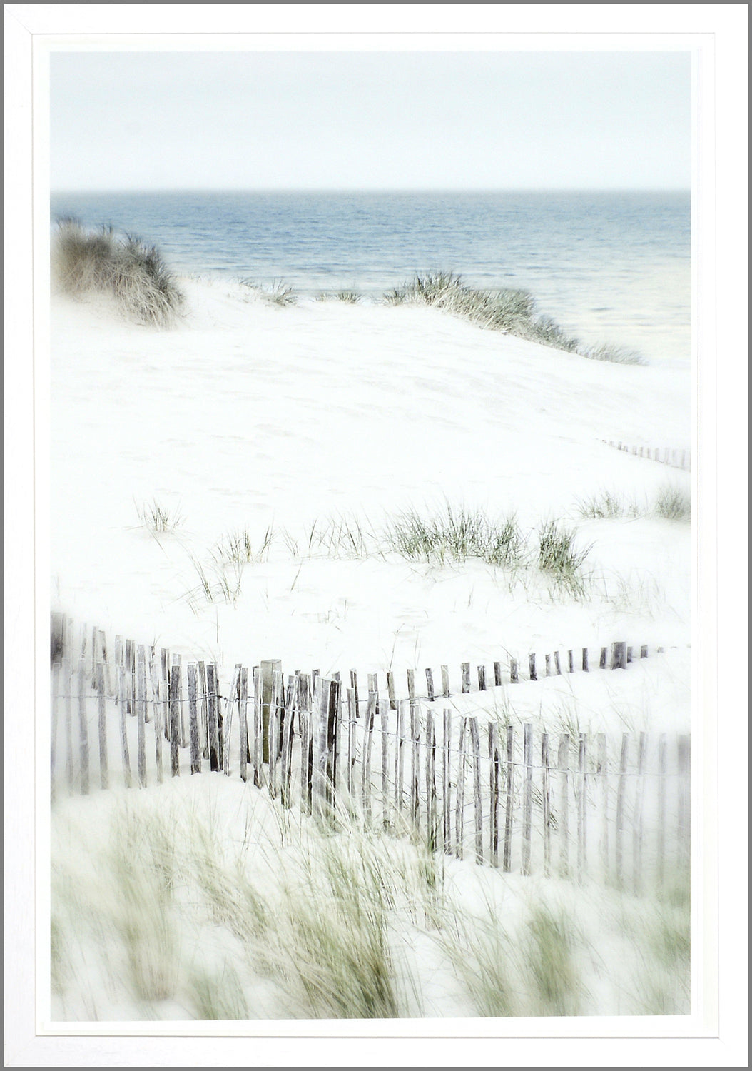 Dune Vista Iii framed art print