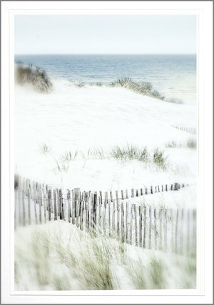 Dune Vista Iii framed art print