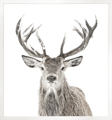 42.25 × 45.25 in – Glass Framed, White Frame
