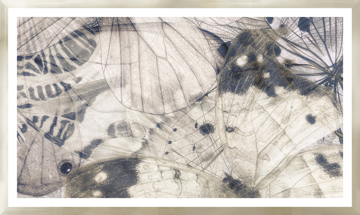 Butterfly Shimmer Pair Bundle — figurative fine art print in neutral tones at Laurie Yapp Home