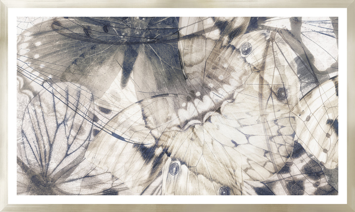 Butterfly Shimmer Pair Bundle — figurative fine art print shown from another angle