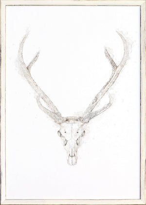 Deer Skull — nature and landscape fine art print in neutral tones at Laurie Yapp Home