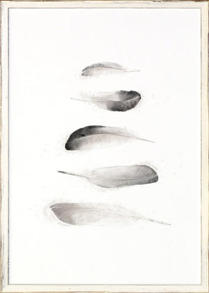 Five Feathers — nature and landscape fine art print in neutral tones at Laurie Yapp Home