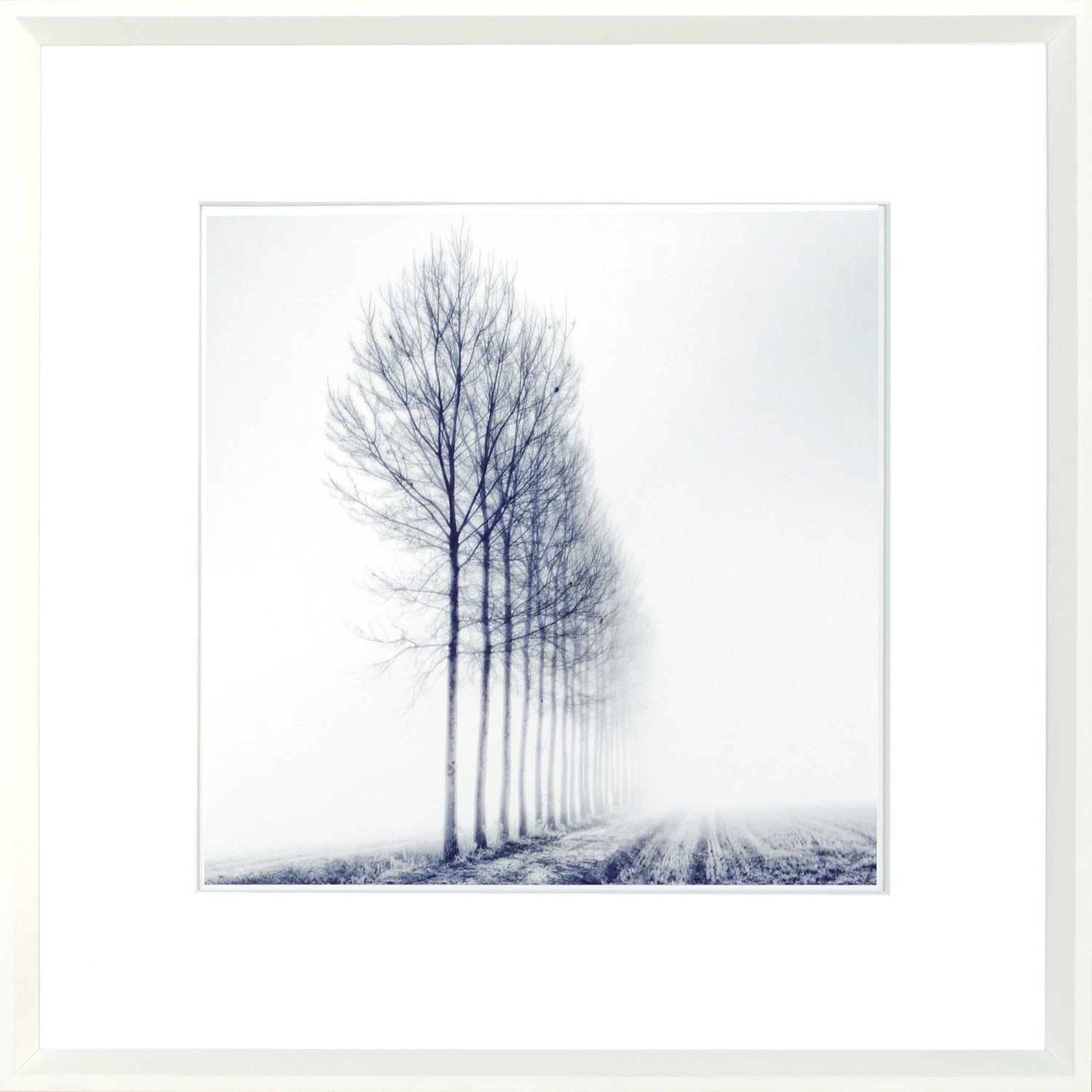 Indigo Landscape Series VIII wall art featuring a row of bare trees in fog, framed in white.