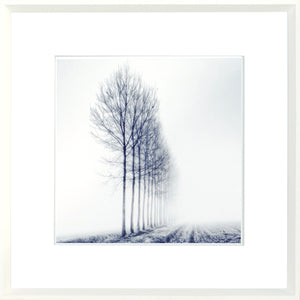 Indigo Landscape Series VIII wall art featuring a row of bare trees in fog, framed in white.