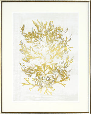 Pressed Seaweed wall art featuring gold and silver foliage on a light background