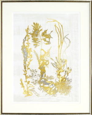 Pressed Seaweed – Gild II wall art featuring gold and silver seaweed designs on a light background.