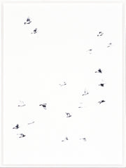 33 × 45 in – Glass Framed