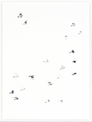 Flight Path I — nature and landscape fine art print shown from another angle