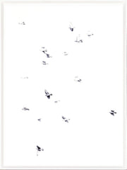 33 × 45 in – Glass Framed