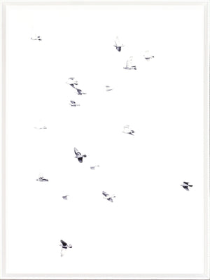 Flight Path II — nature and landscape fine art print shown from another angle