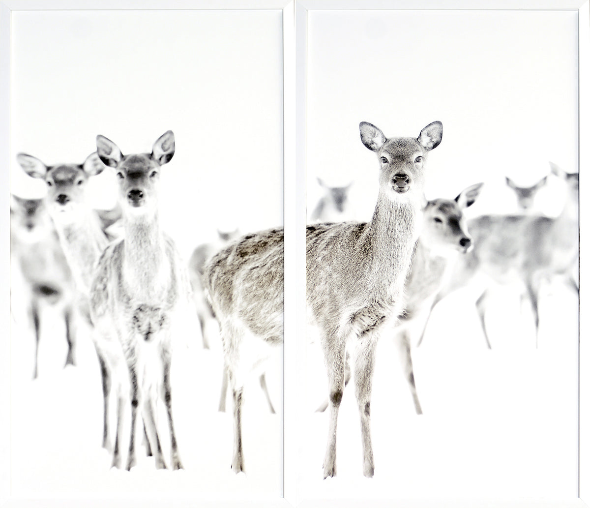 Surveillance — nature and landscape fine art print in neutral tones at Laurie Yapp Home