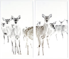 51.5 × 57.5 in – White Frame