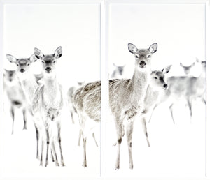 Surveillance — nature and landscape fine art print in neutral tones at Laurie Yapp Home