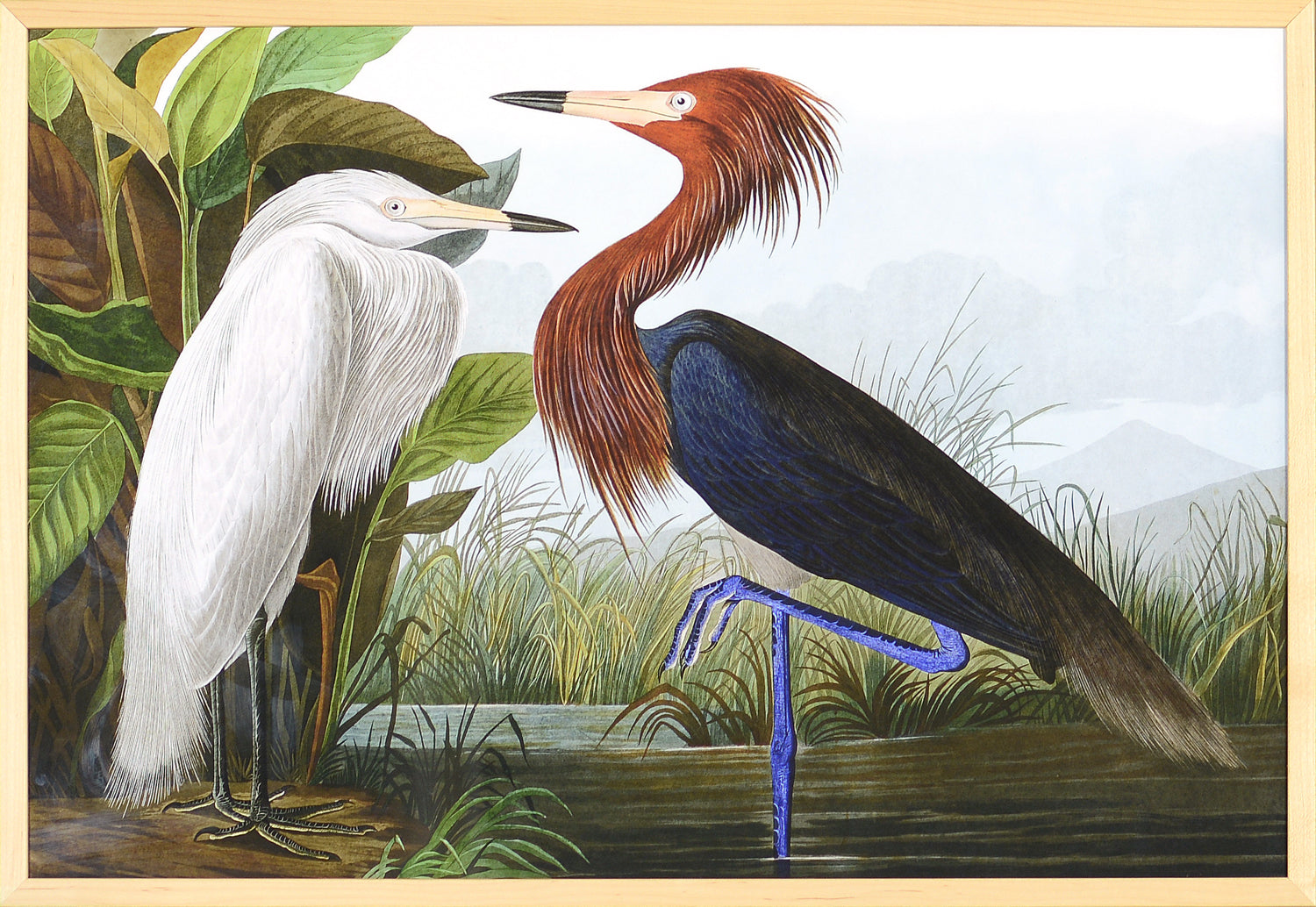 Audubon – Purple Heron — nature and landscape fine art print in neutral tones at Laurie Yapp Home