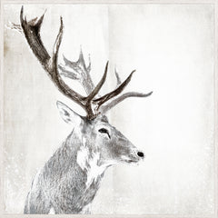 41.25 × 41.25 in – White Frame