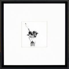 17 × 17 pulg. – Marco negro