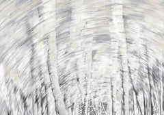 70.25 × 49 in – Lienzo con bastidor