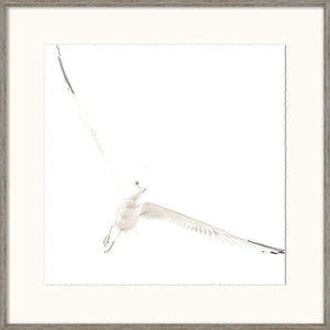 Soar I — nature and landscape fine art print in neutral tones at Laurie Yapp Home