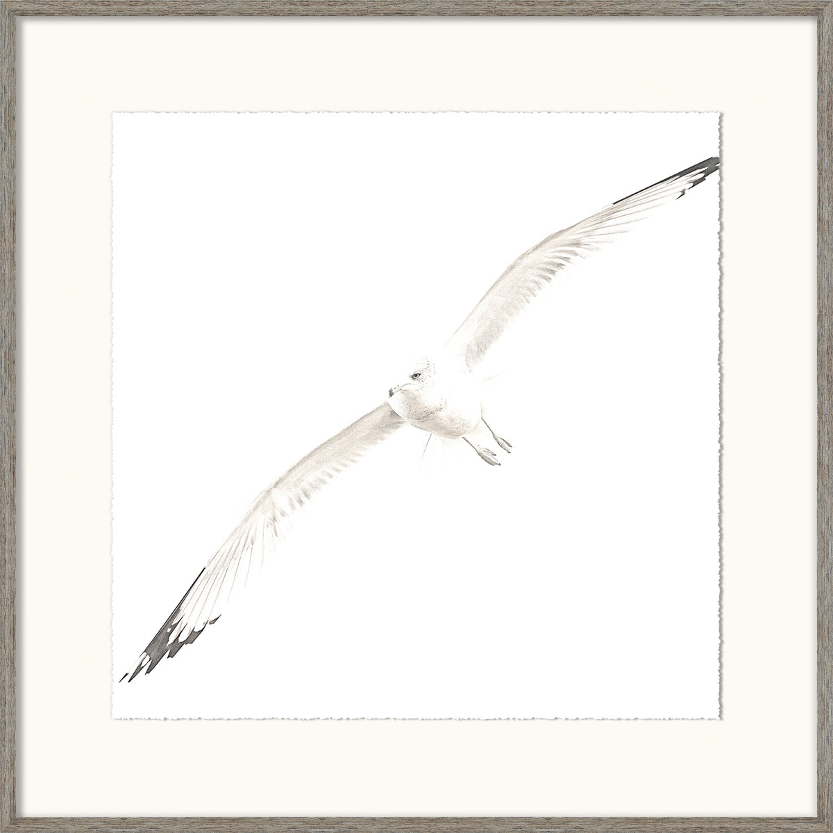 Soar II — nature and landscape fine art print in neutral tones at Laurie Yapp Home