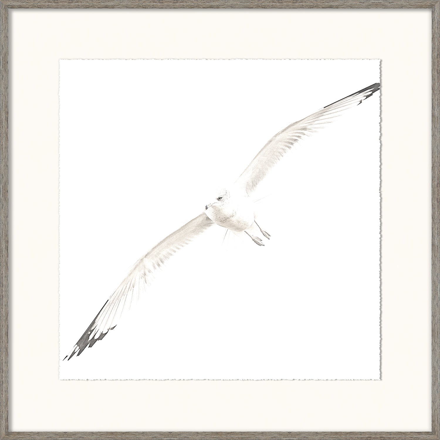 Soar II — nature and landscape fine art print in neutral tones at Laurie Yapp Home