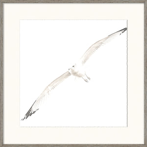 Soar II — nature and landscape fine art print in neutral tones at Laurie Yapp Home