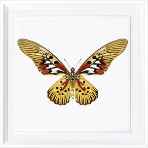Vivid Papillons II — nature and landscape fine art print in bold primary tones at Laurie Yapp Home