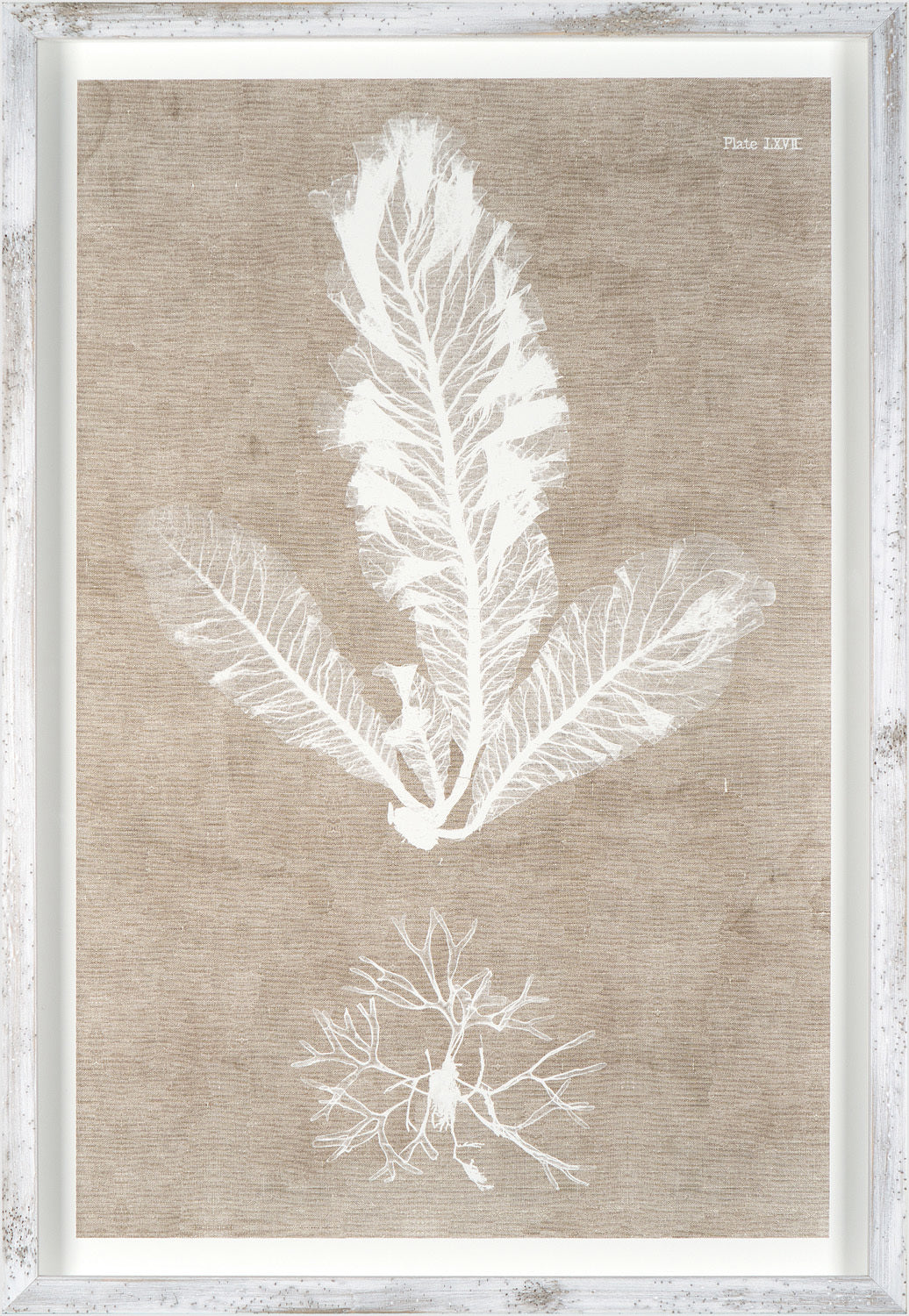 Nature Printed On Linen I wall art featuring white leaf and root designs on a textured beige background.