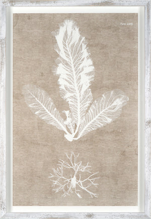 Nature Printed On Linen I wall art featuring white leaf and root designs on a textured beige background.