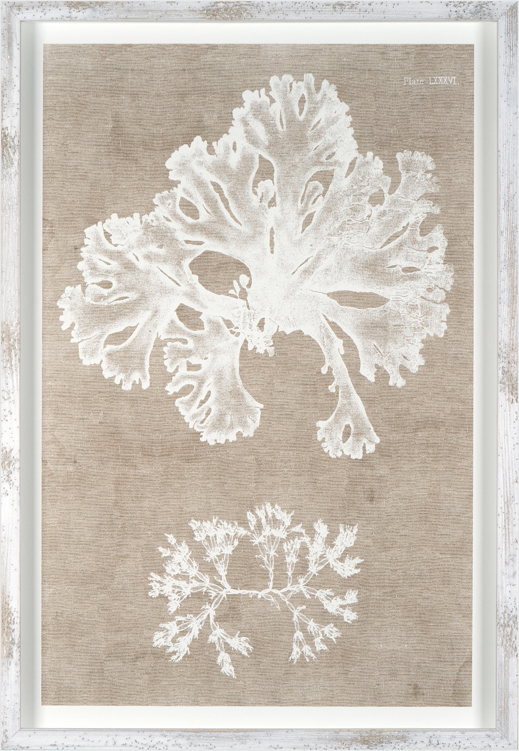 Nature Printed On Linen III wall art featuring white botanical prints on a textured beige background.