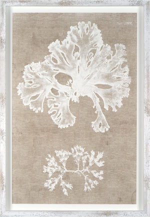 Nature Printed On Linen III wall art featuring white botanical prints on a textured beige background.