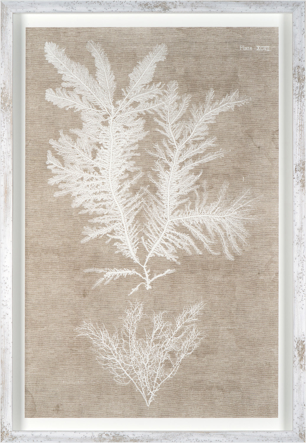 Nature Printed On Linen IV wall art featuring white botanical prints on a textured beige background.