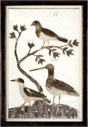 Minaggio Plate 99 wall art featuring three birds perched on a branch with leaves.