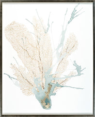 31 × 38 in