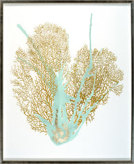 31 × 38 in