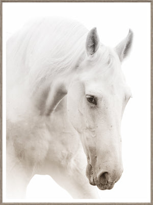 Argent Cheval I framed art print